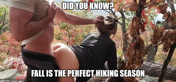 Did You Know? Fall Is The Perfect Hiking Seasion